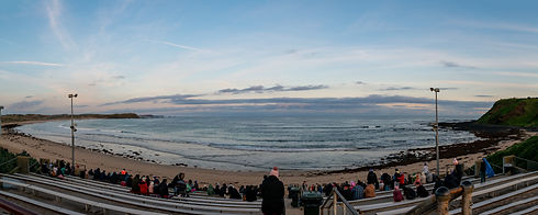 General Viewing at the Penguin Parade