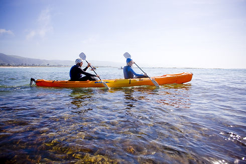 Seal Kayak Tour