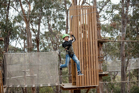 Zip Lining on The Great Ocean Road