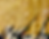 Mushir artwork #4.png