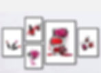69324654_1317371965084570_45692310312106
