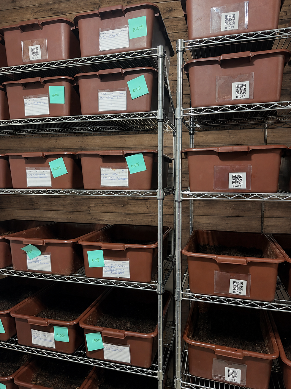 Rack of worm bin totes on Fant Farm Organics, some labeled with handwritten index cards and others with QR code tracking stickers