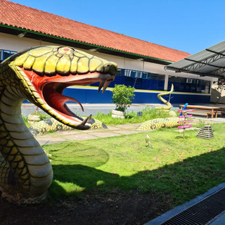 ESCOLA DANILO AREOSA (9).jpeg