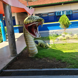 ESCOLA DANILO AREOSA (8).jpeg