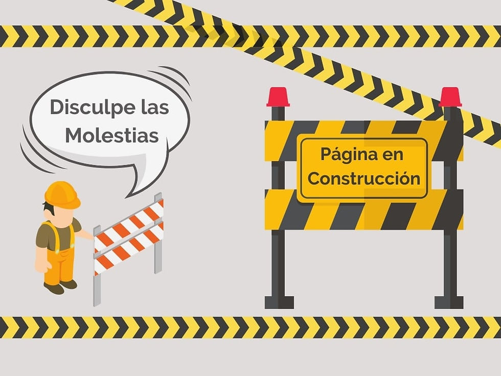 neurodesarrollo por etapas