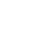 icons8-diamante-100 (1).png
