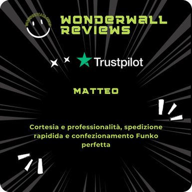 Recensione Trustpilot Wonderwall Shop