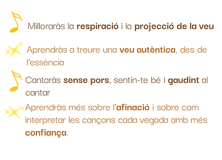 Programa VEU AUTÈNTICA(2).png