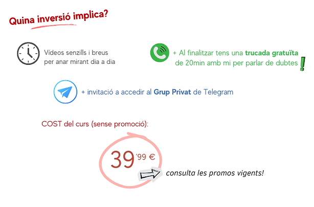 web curs 5 lliçons (vídeo)(2).png