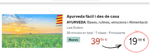 web curs 5 lliçons (vídeo).png