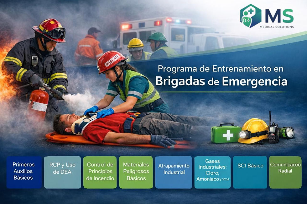 Brigada 1.jpeg