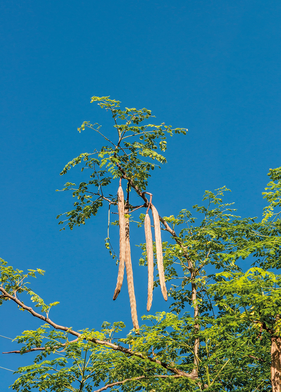 Screenshot 2025-07-16 at 5.12.29 PM.png