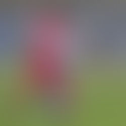 Karikari: "Ub je moja druga kuća."