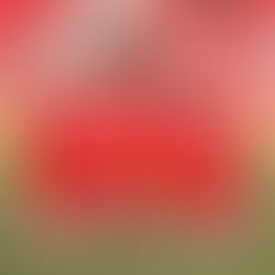 Тамо где су други одустали, Јединство одлучило да се бори!