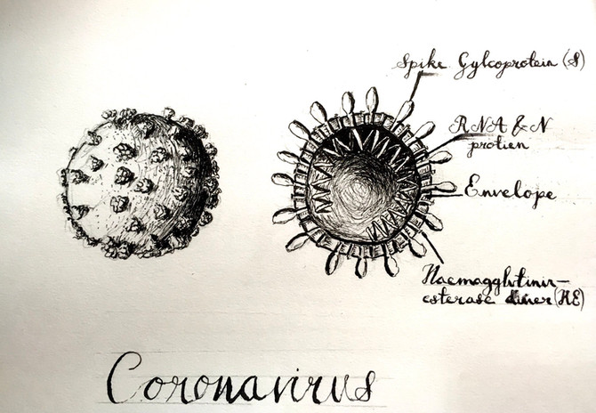 Coronavirus Law Resources