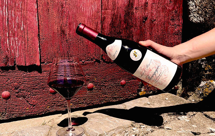 Abbaye de Morgeot, Chassagne, Domaine Viticole, Dégustation, Côte de Beaune