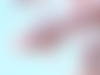 春爛漫