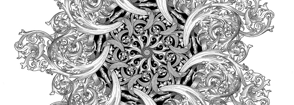 92028054_111033643885064_5300040856454037504_n.jpg