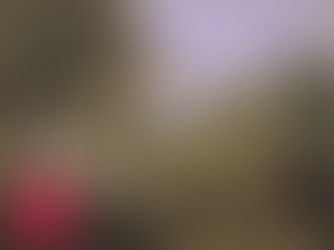 When the Ordinary is Beautiful