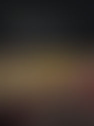 Rate cuts, US tariffs, corruption mess steer markets in Q3