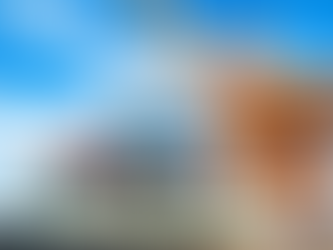 ASEAN Agricultural Supply Chains