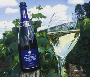 CHAMPAGNE BOTTLE AND GLASS.png