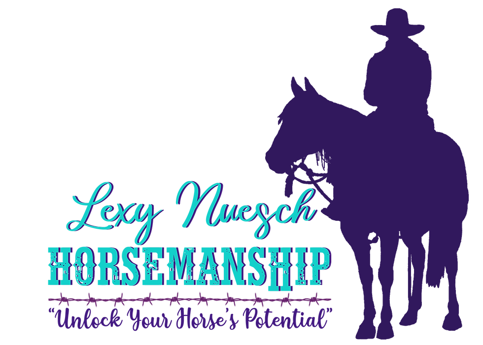 Lexy Nuesch Horsemanship | Nebraska Horse Trainer | LNH Logo