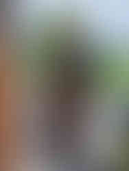 Resultaat deelnemer workshop riemen maken