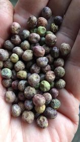 POIS ''CHARLEVOIX''