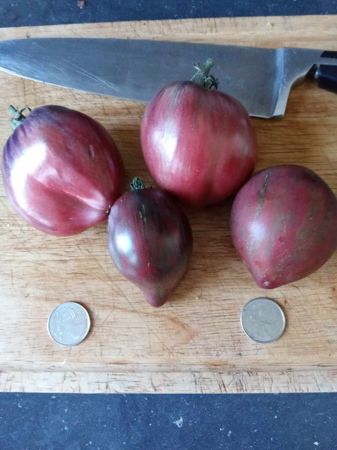 Tomate ''Rebel Starfighter Prime''