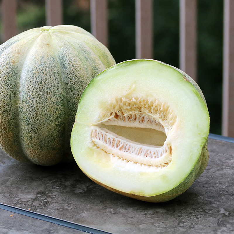MELON ''de MONTRÉAL''