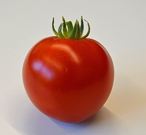 TOMATE PRÉCOCIBEC