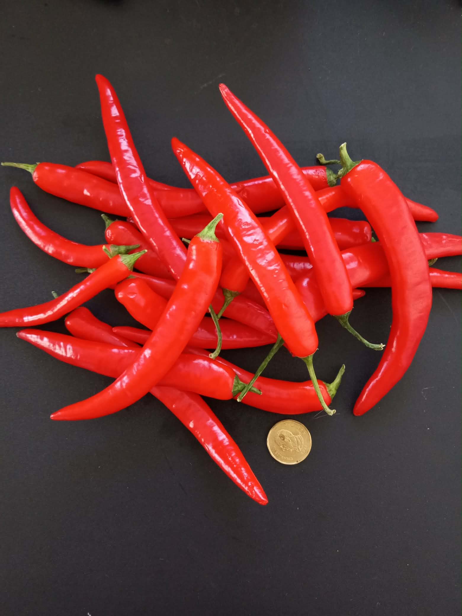 Piment Coréen ''Gochugaru''