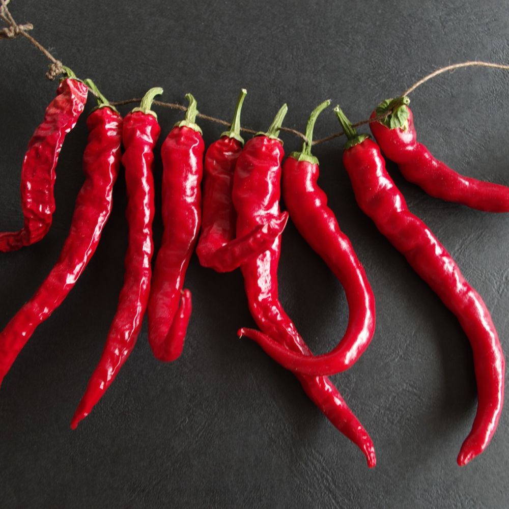 PIMENT de CAYENNE