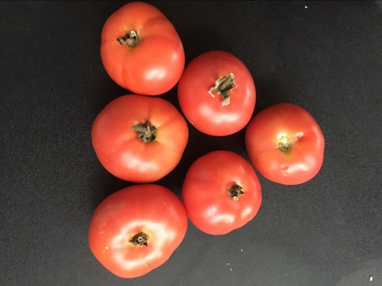 TOMATES ''ROSABEC''