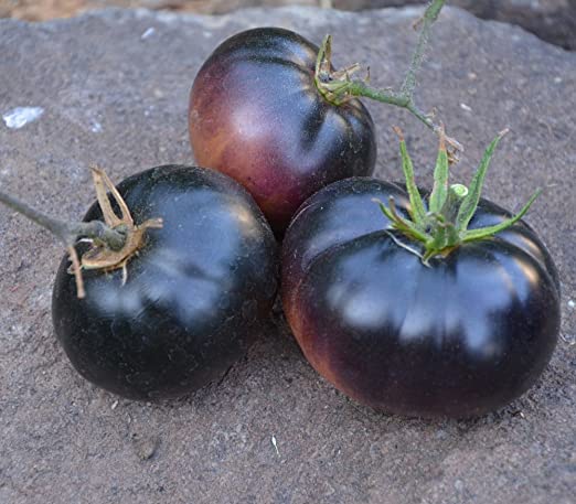 Tomates «Black Beauty''