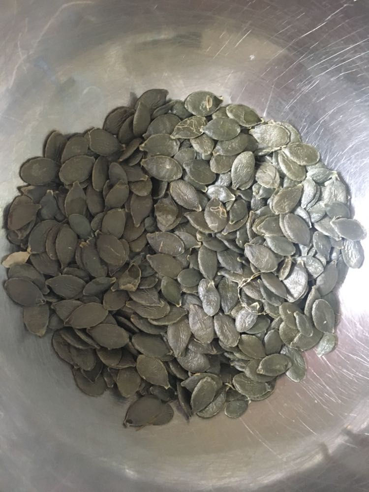 CITROUILLE À GRAINE NUE ''KAKAÏ''