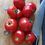 Miniature : TOMATE ''MOSKOVITCH''