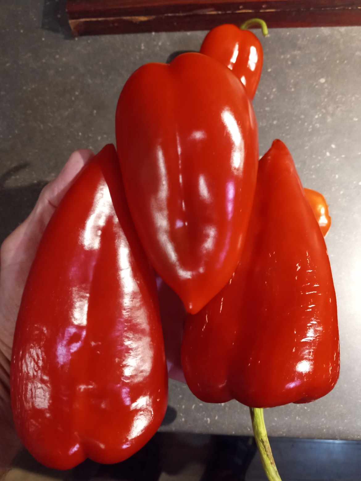 POIVRON ''Boyanska Kapiya''