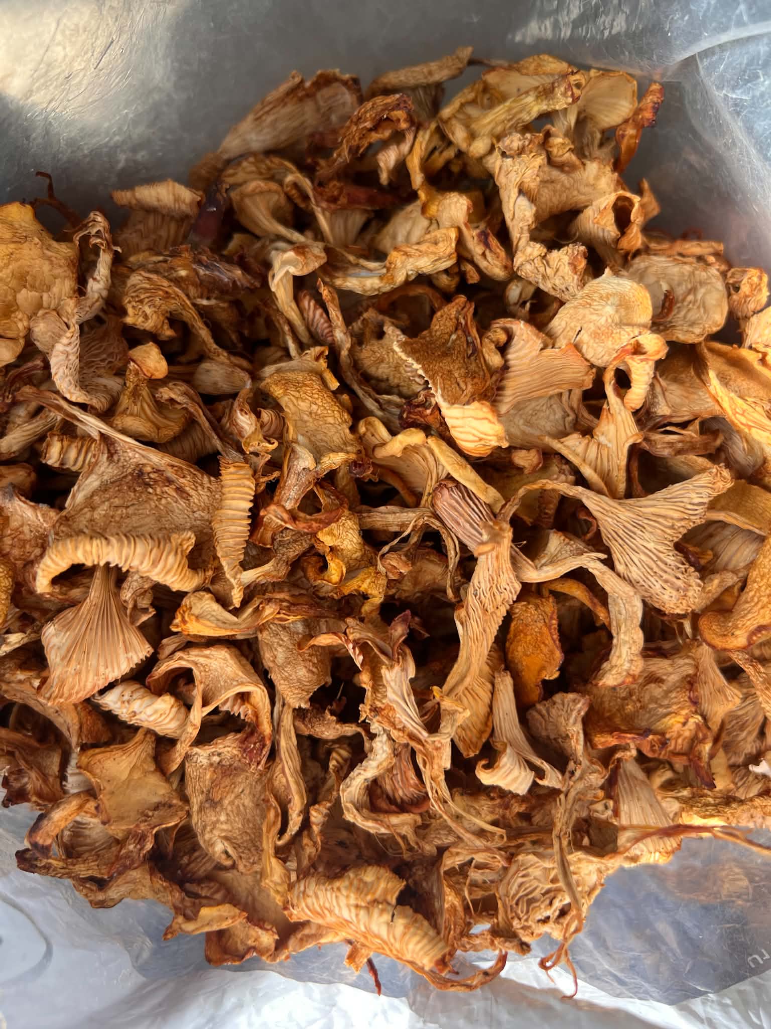 Champignons séchés ''Chanterelles'' Saveurs Nouveau Monde