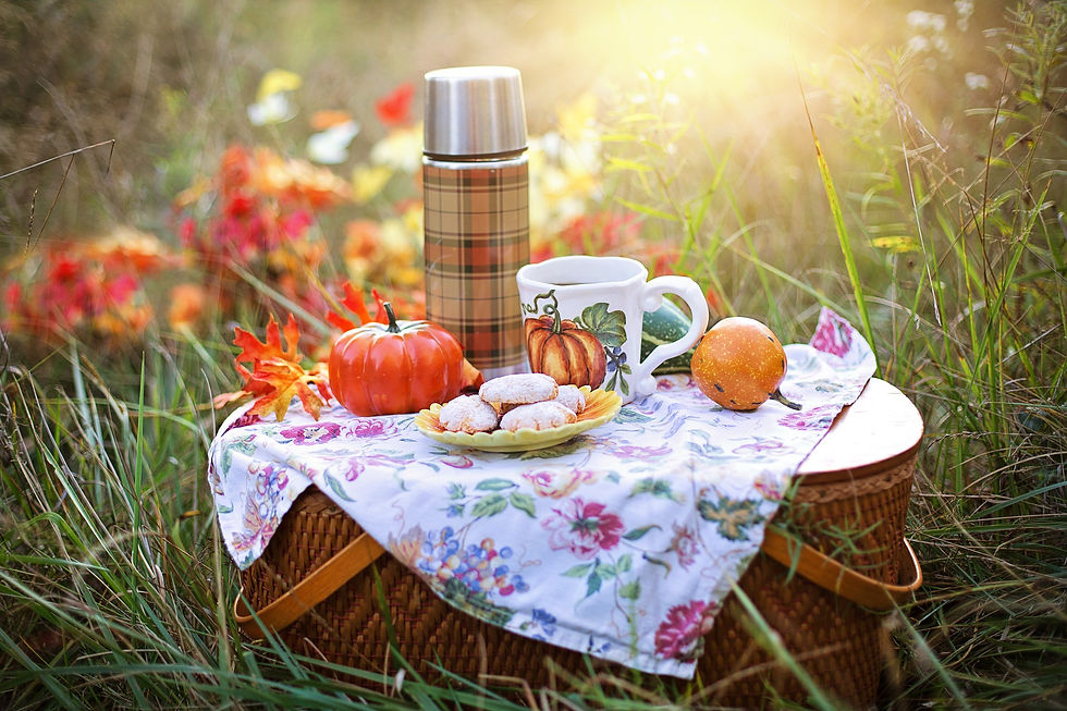 Familien-Picknick