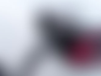 Washington State to Mandate Tesla's Plug for EV Charging Companies