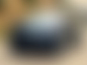 Fisker Files for Bankruptcy Amid Struggles in the EV Market