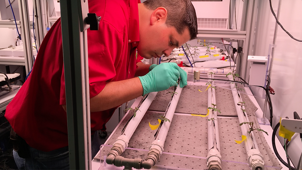 Planting chile pepper seeds in a controlled environment, "Jacob Torres: Growing Chile Plants in Space," from the Ag Innovators video series.