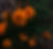 external-file_edited.jpg