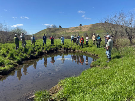People visiting the springs