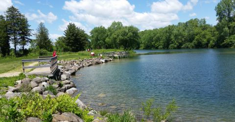 2025: Wading in Black Earth Creek, the October edition!