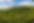 woods small.jpg
