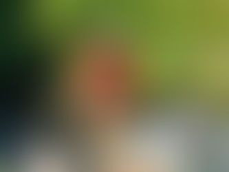 Vermont Church Wetland Preservation