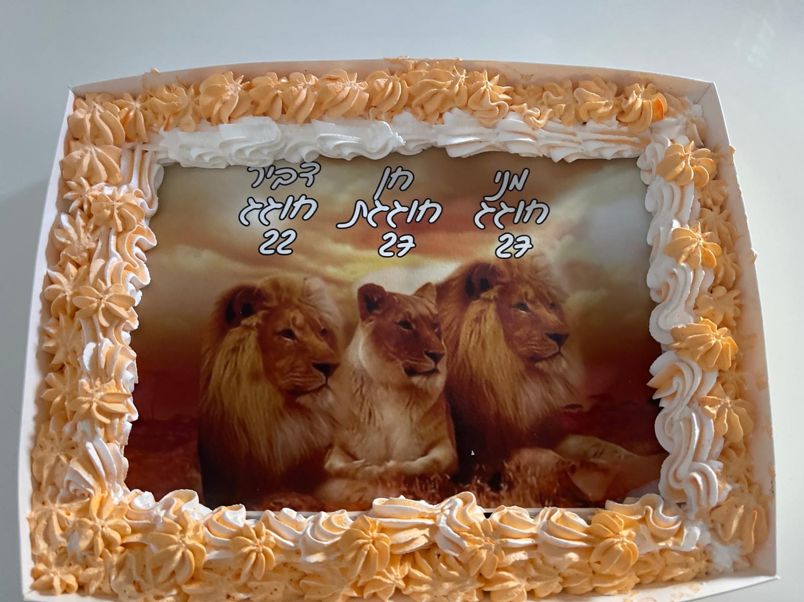 עוגת יום הולדת מלבנית עם הדפס אריות וקרם